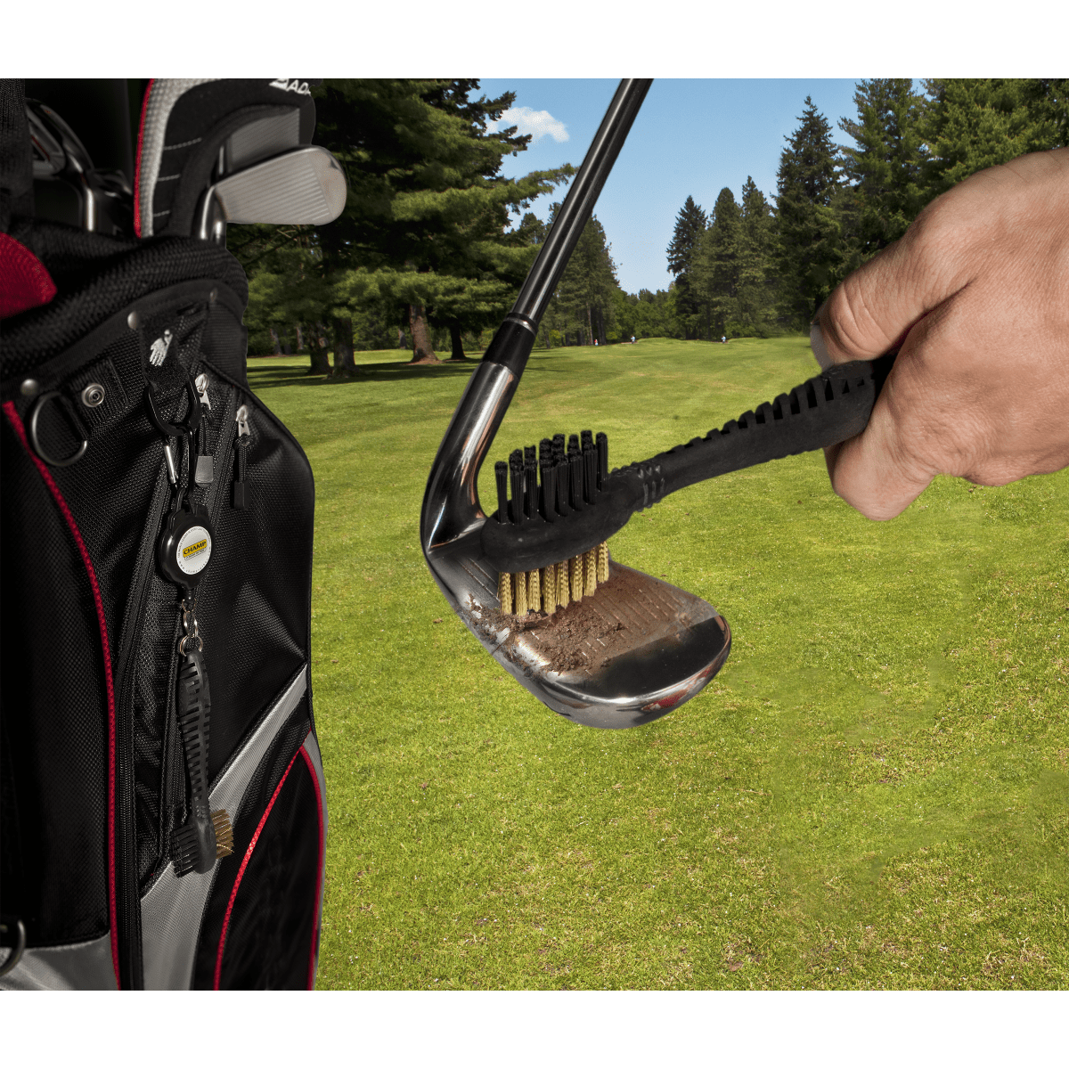 Champ Dual Brush