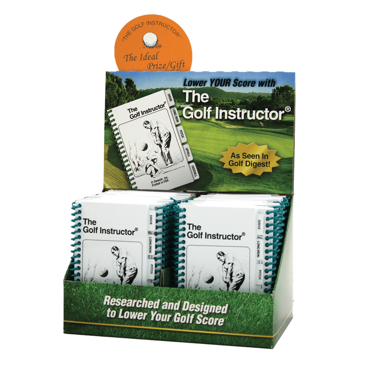 The Golf Instructor
