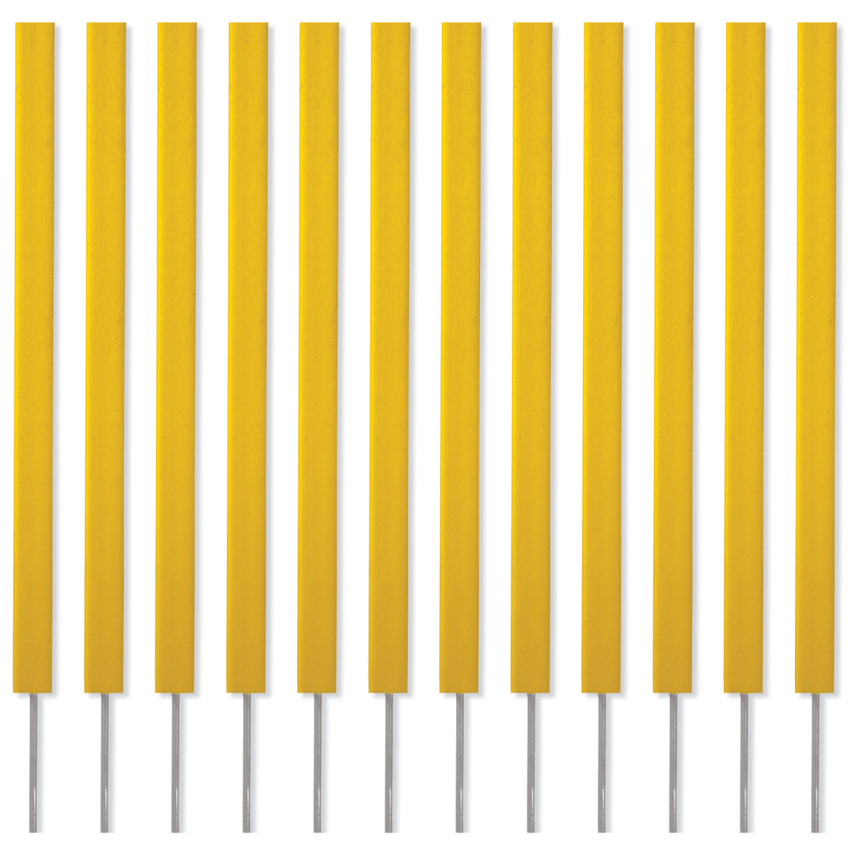 24" Plastic Penalty Markers with Spikes
